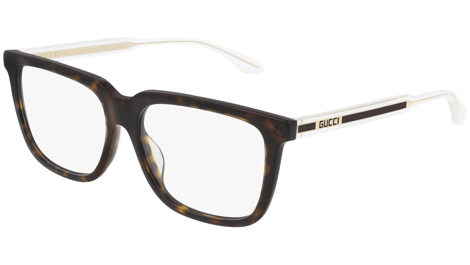 GG0560OA 002 dark tortoise