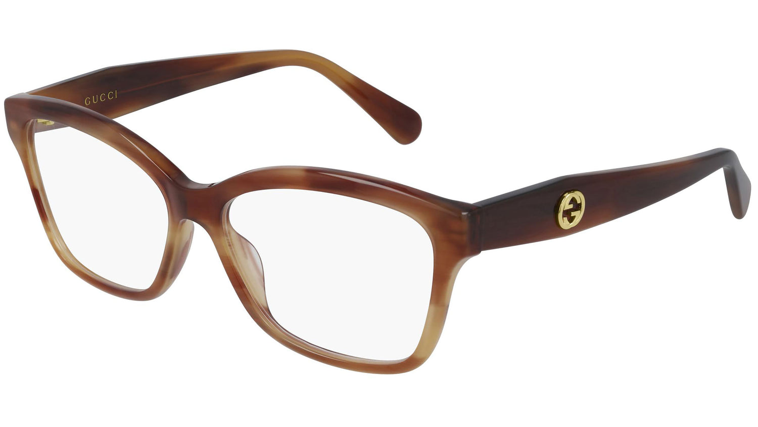 GG0798O 003 shiny tortoise