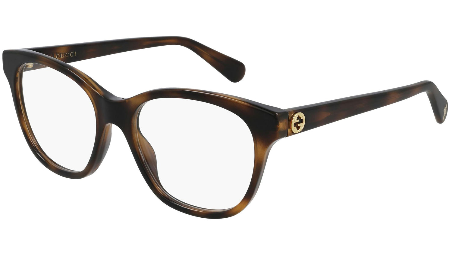 GG0923O 002 shiny tortoise