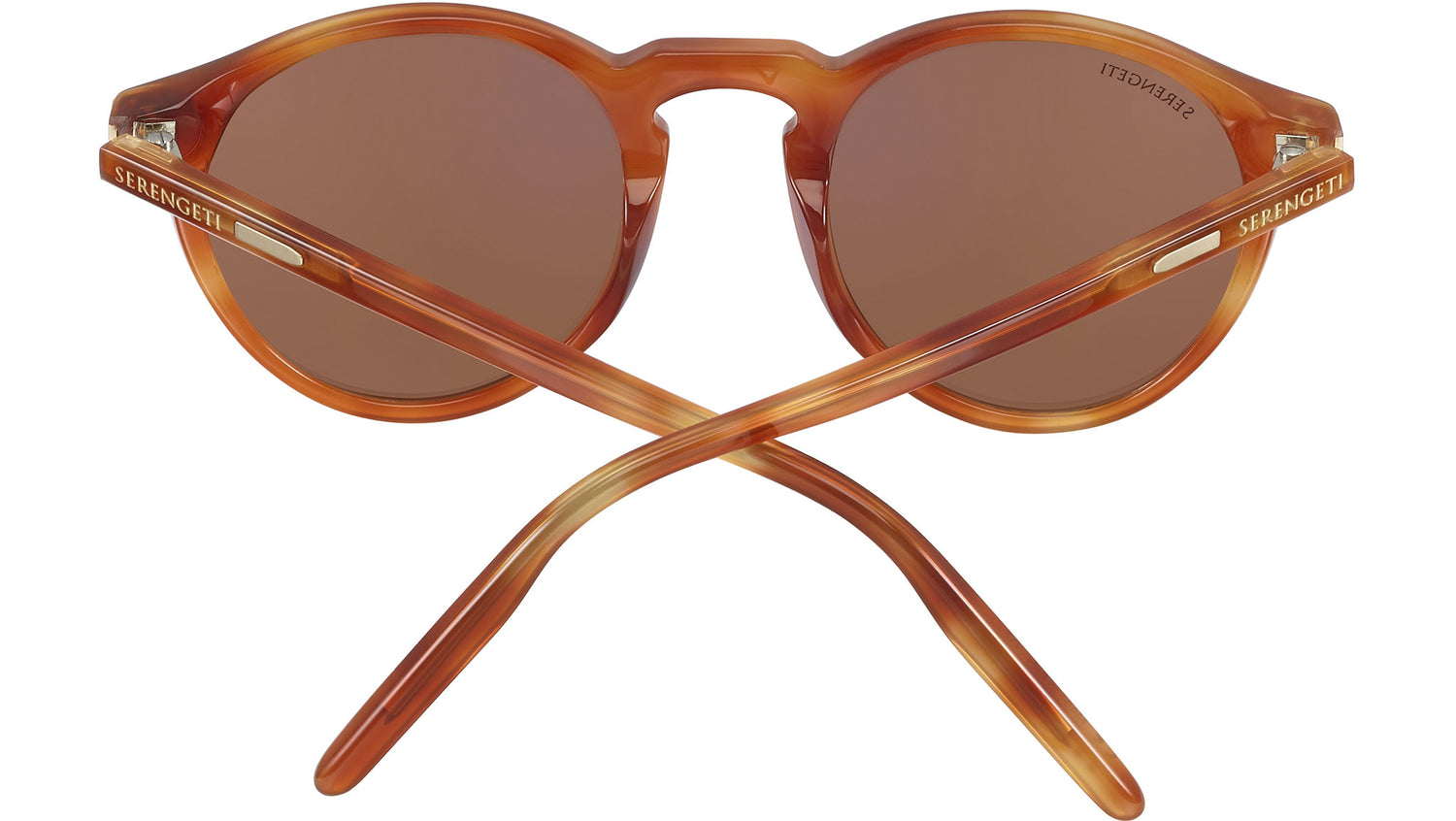 Raffaele 8953 Brown