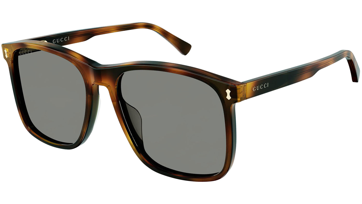 GG1041S 002 dark tortoise