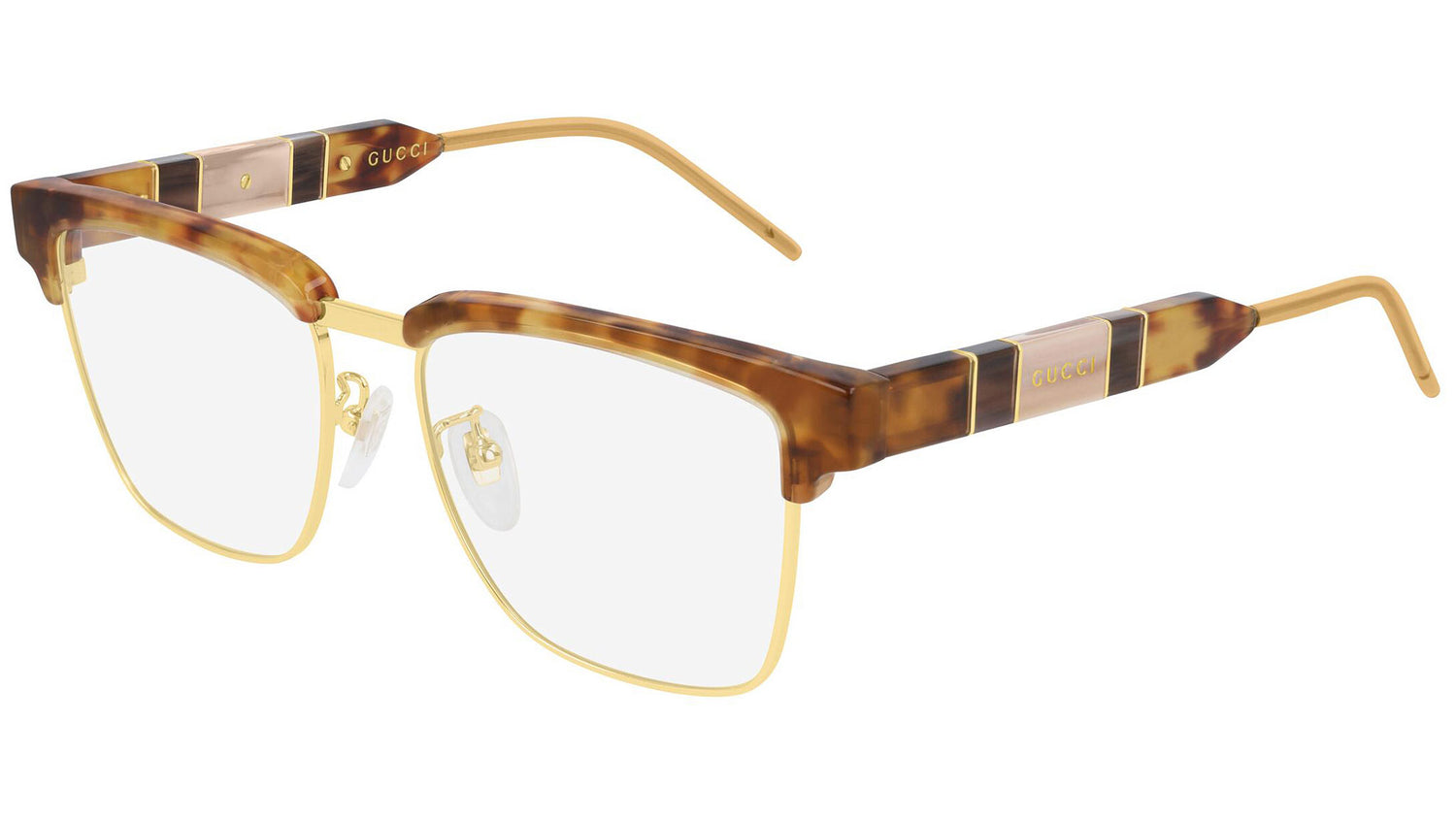 GG0605O 004 tortoise