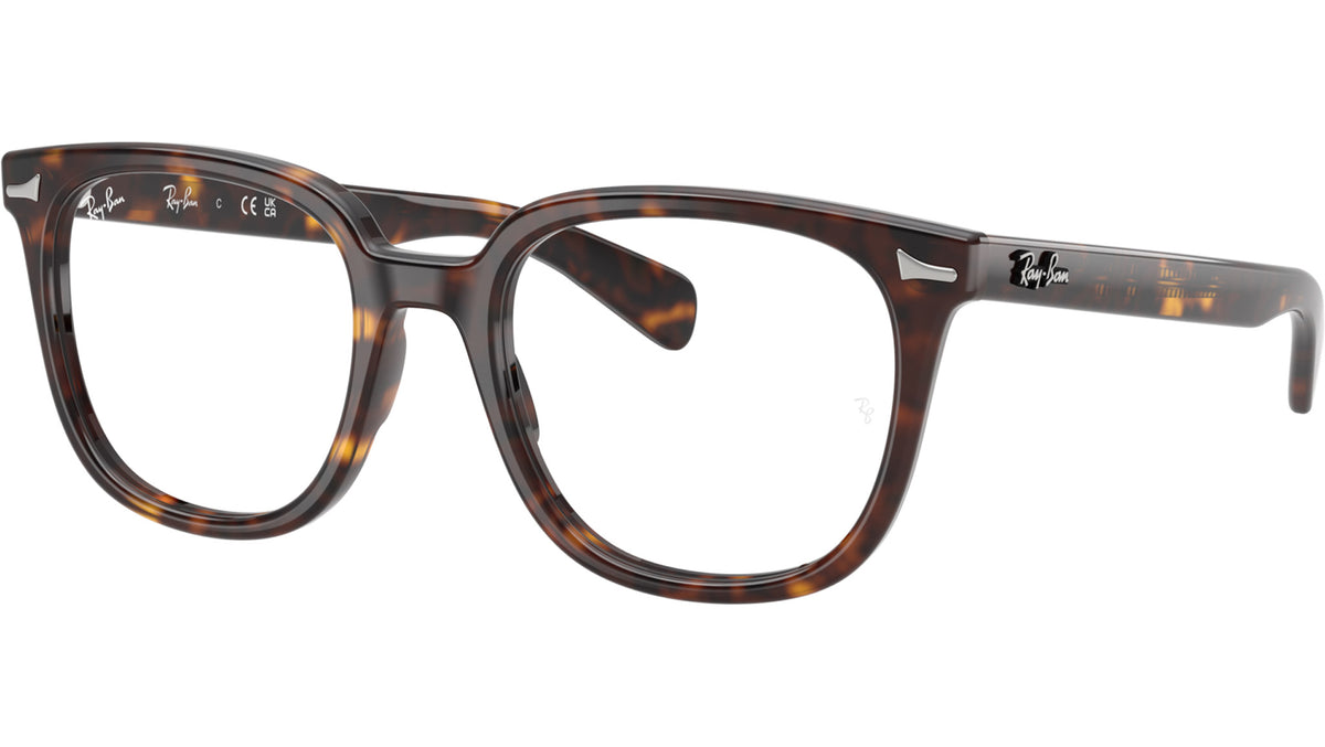 Brunel II Optics RB 5535 2012