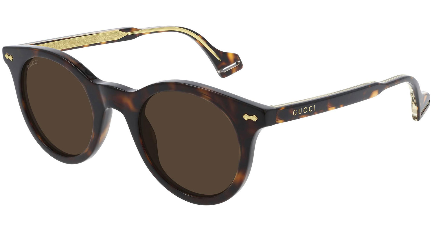 GG0736S 002 shiny tortoise