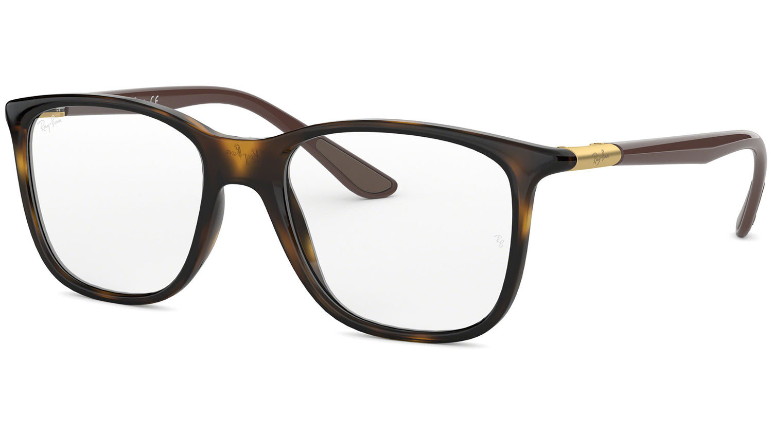 RB7143 tortoise