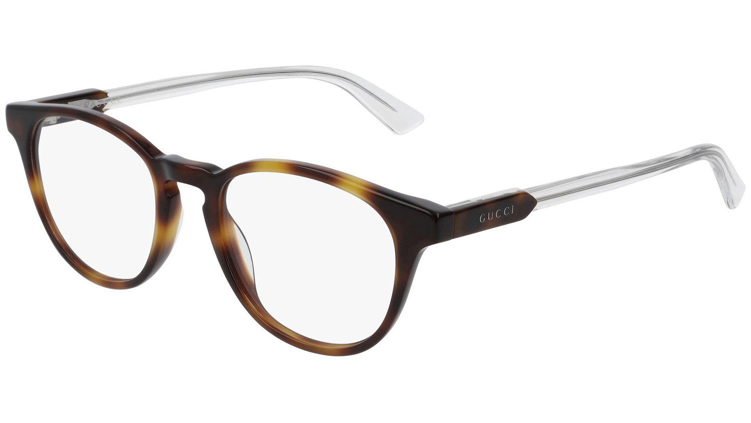 GG0491O 003 shiny tortoise