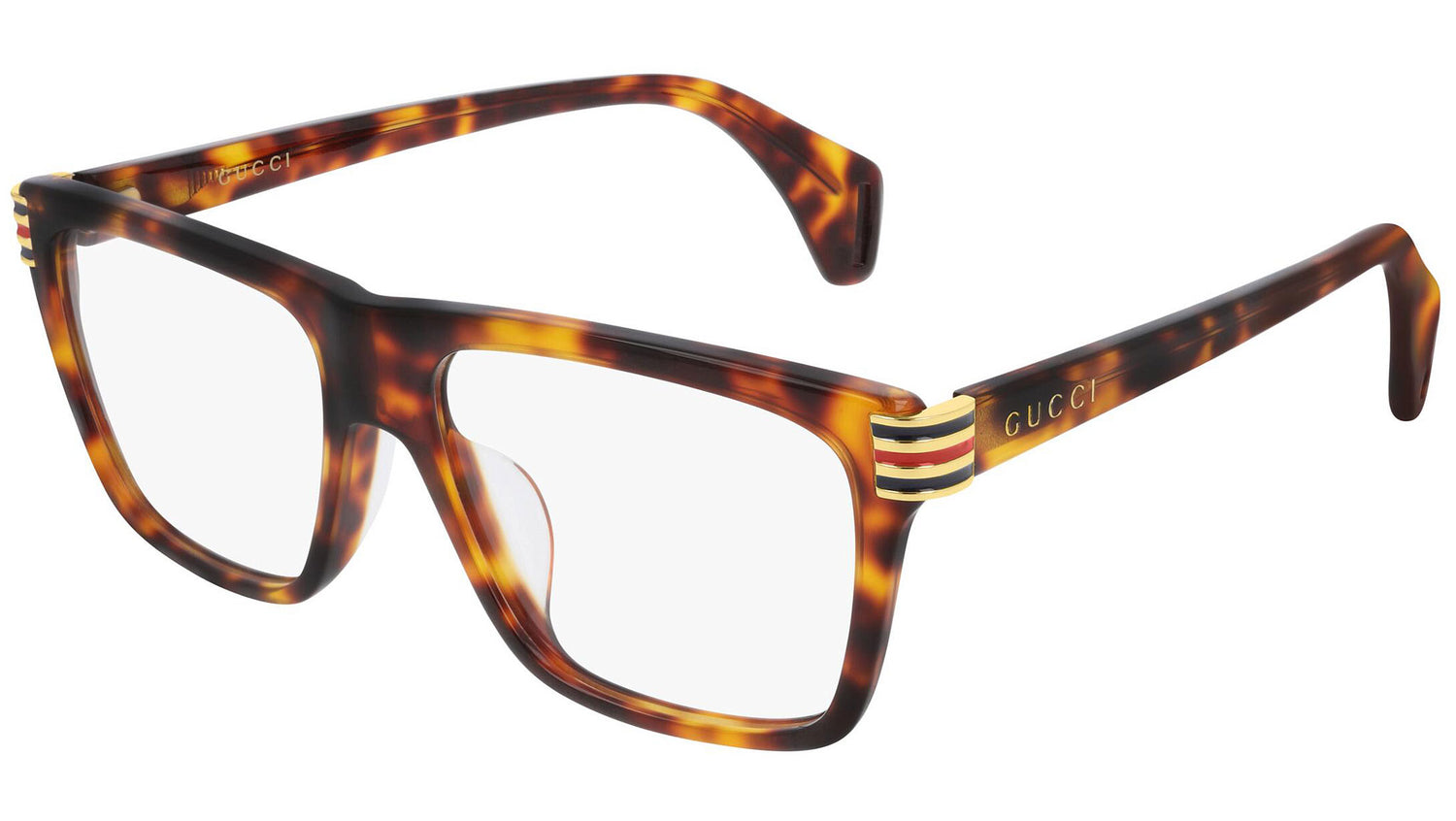 GG0527O 004 shiny tortoise