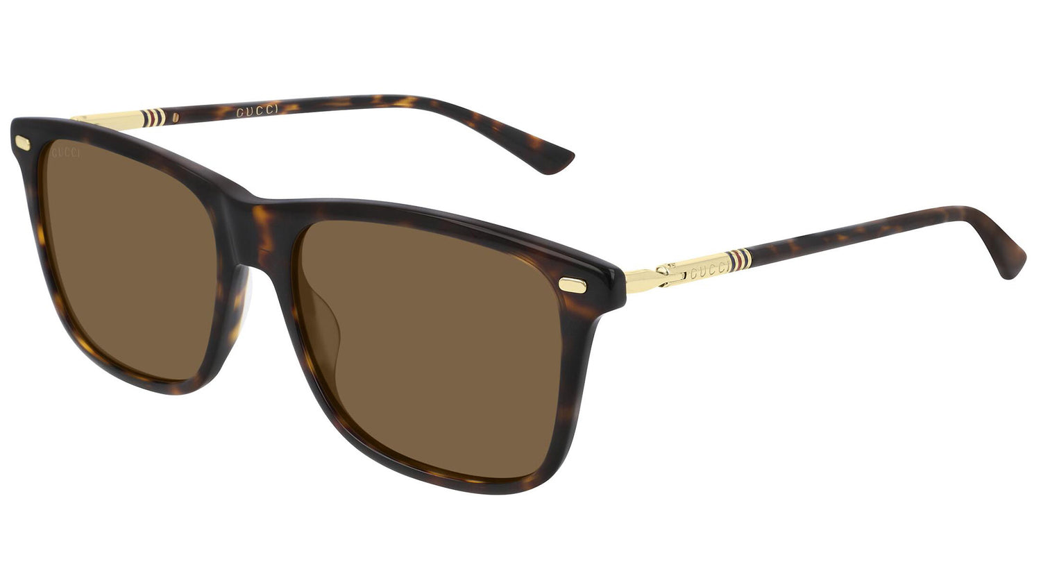 GG0518S dark tortoise and tortoise