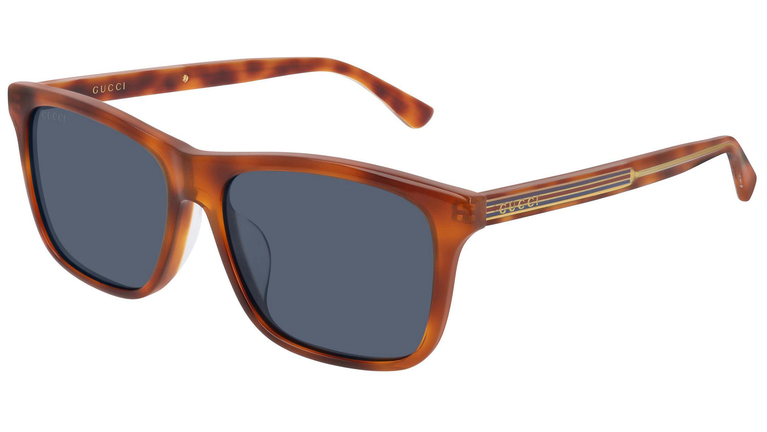 GG0381SA yellow tortoise and blue