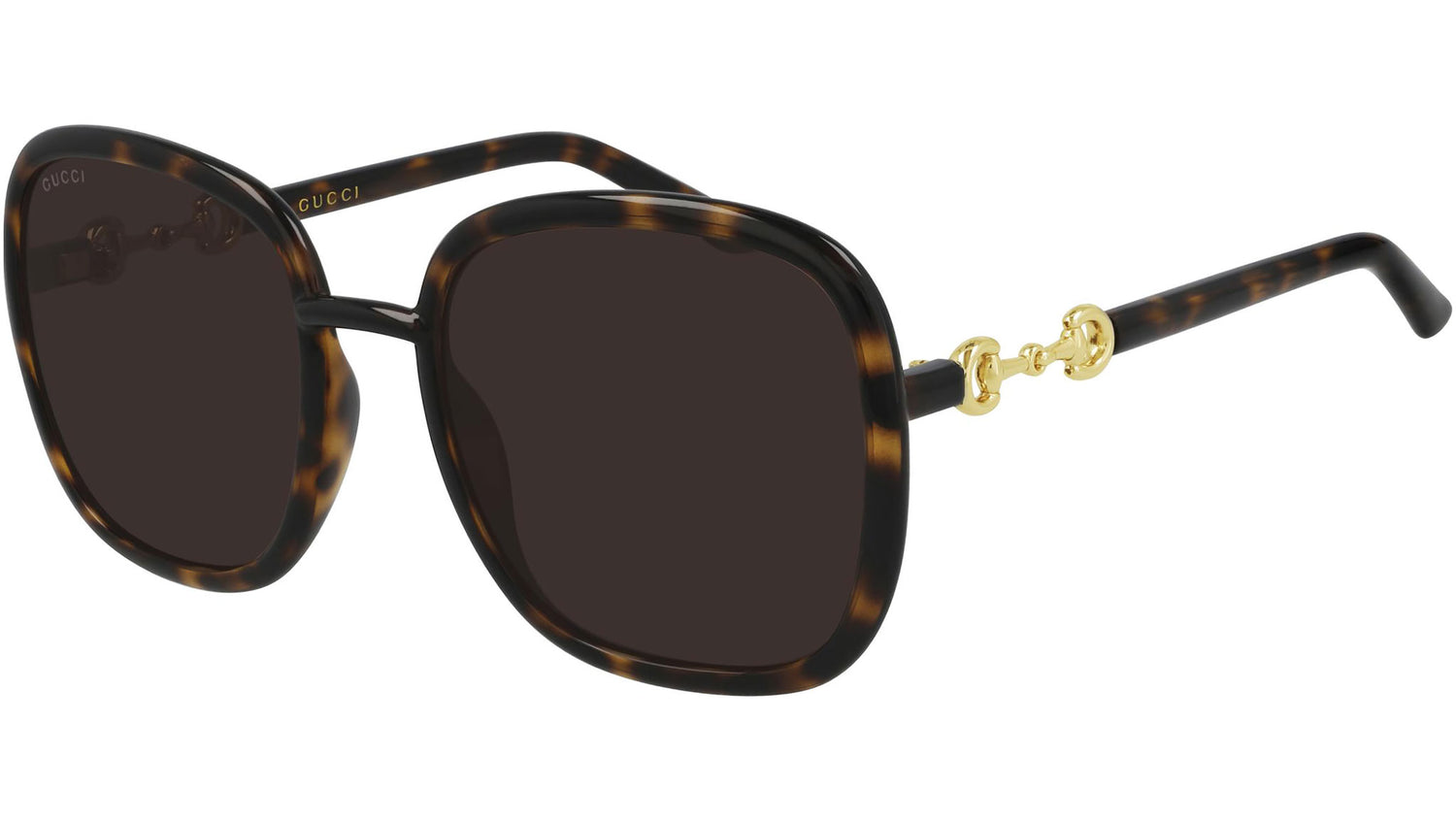 GG0893S 002 shiny tortoise