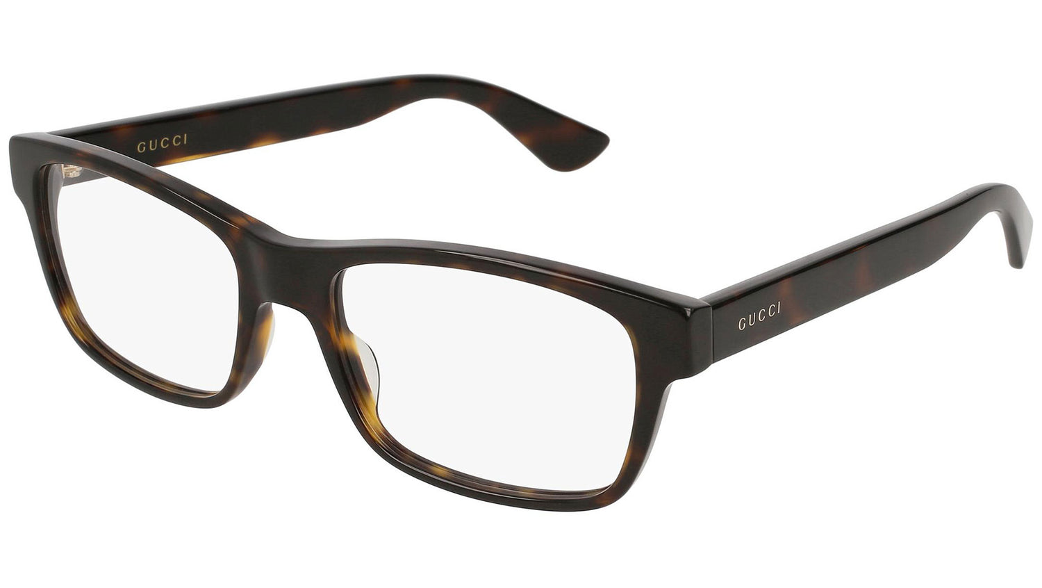 GG0006O 011 dark tortoise