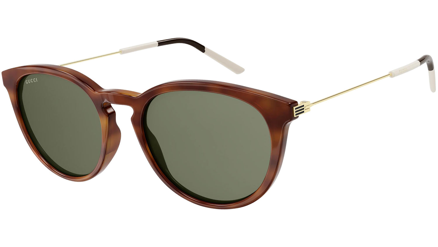 GG1048S 002 shiny tortoise