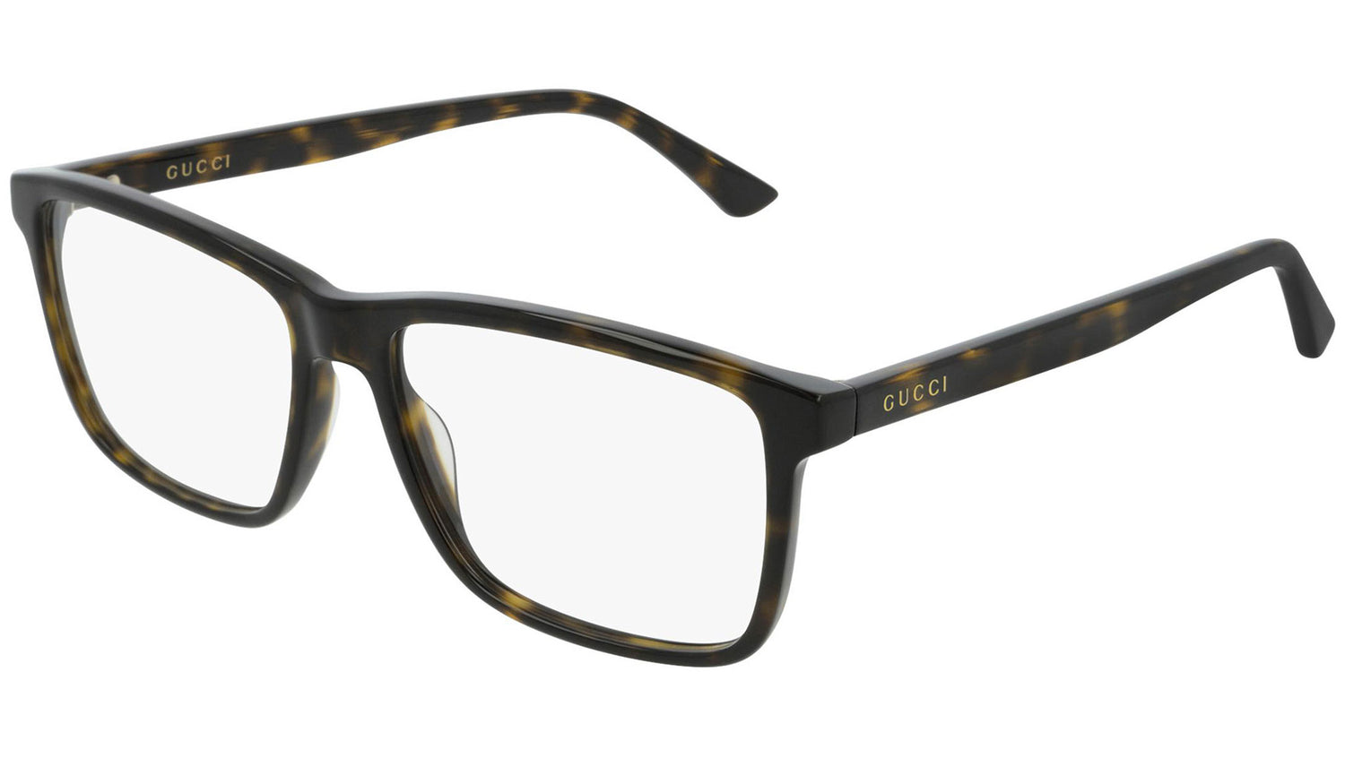 GG0407O 002 dark tortoise