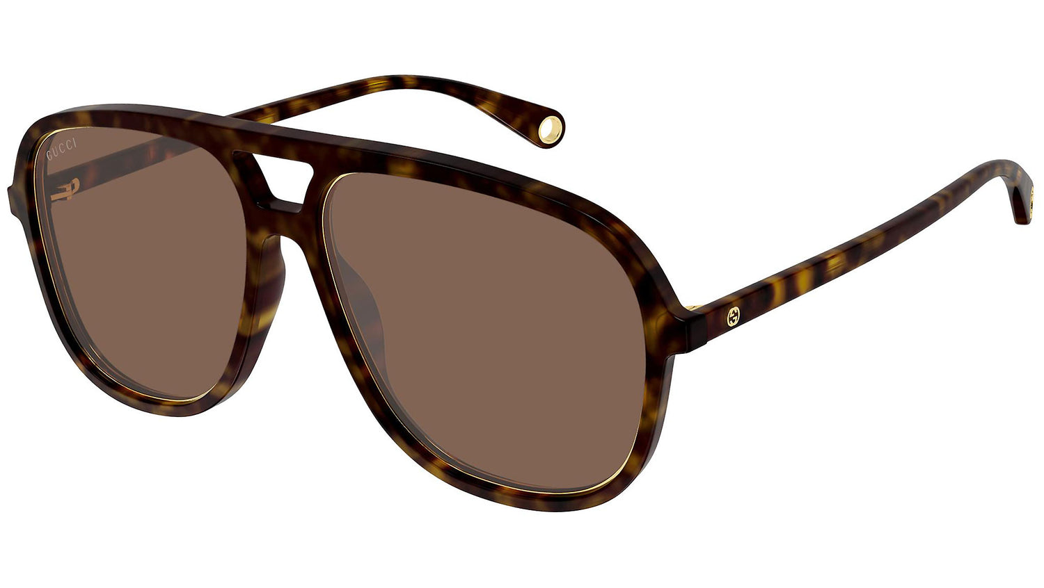 GG1077S 004 shiny tortoise