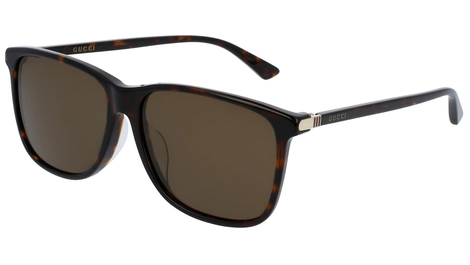GG0017SA shiny tortoise and brown