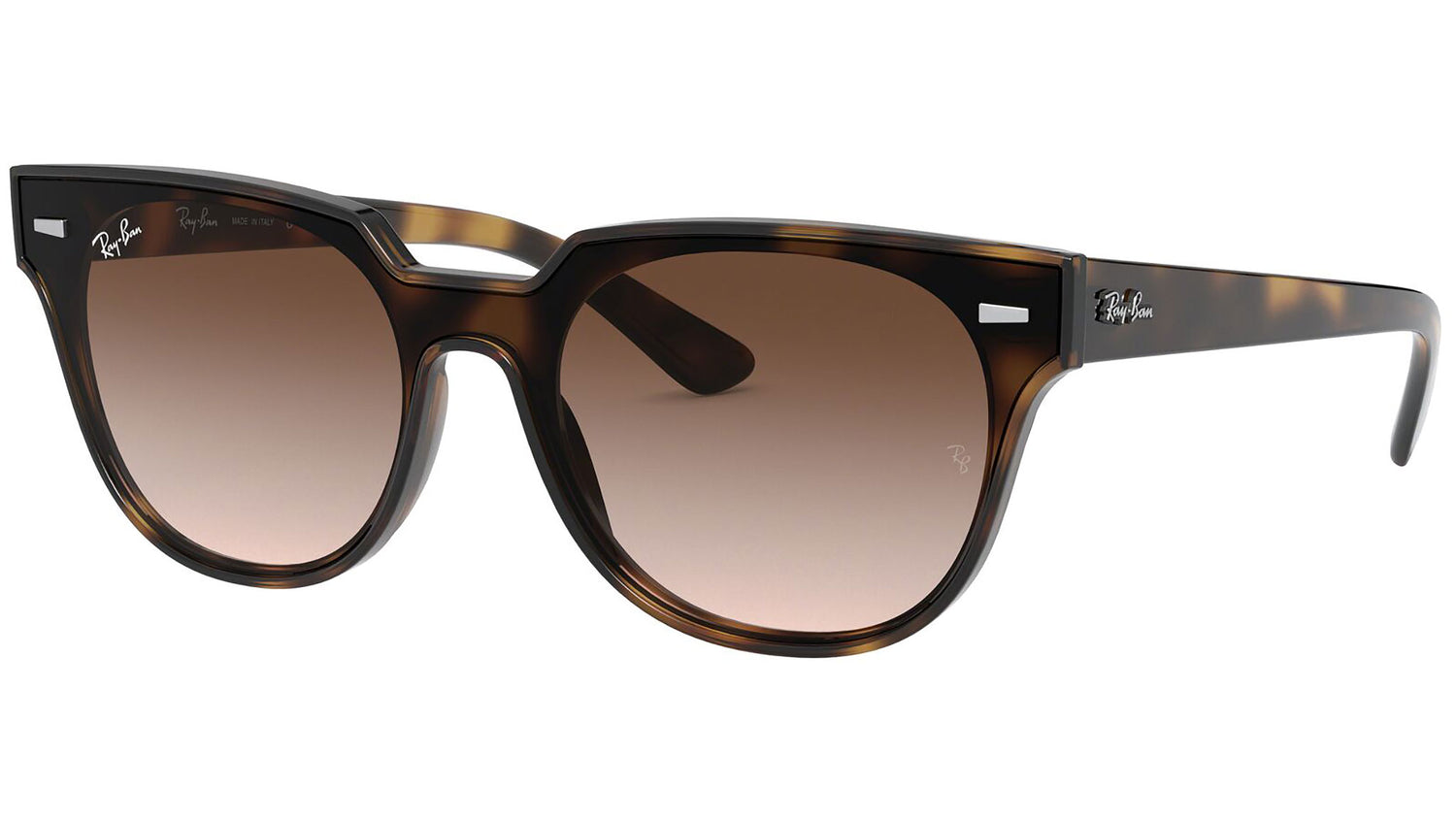 Blaze Meteor RB4368N tortoise