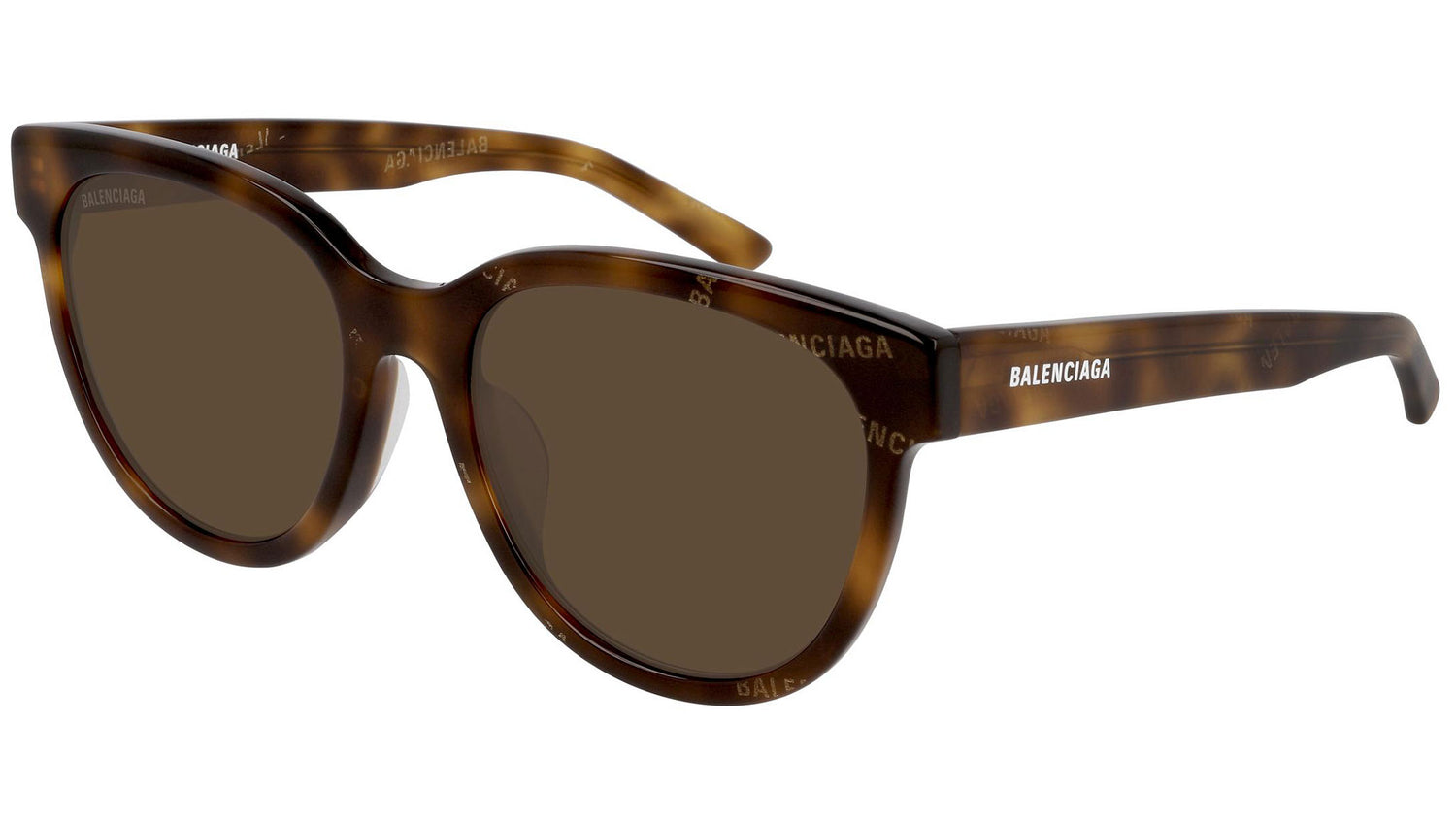 BB0077SK 002 shiny dedicated havana