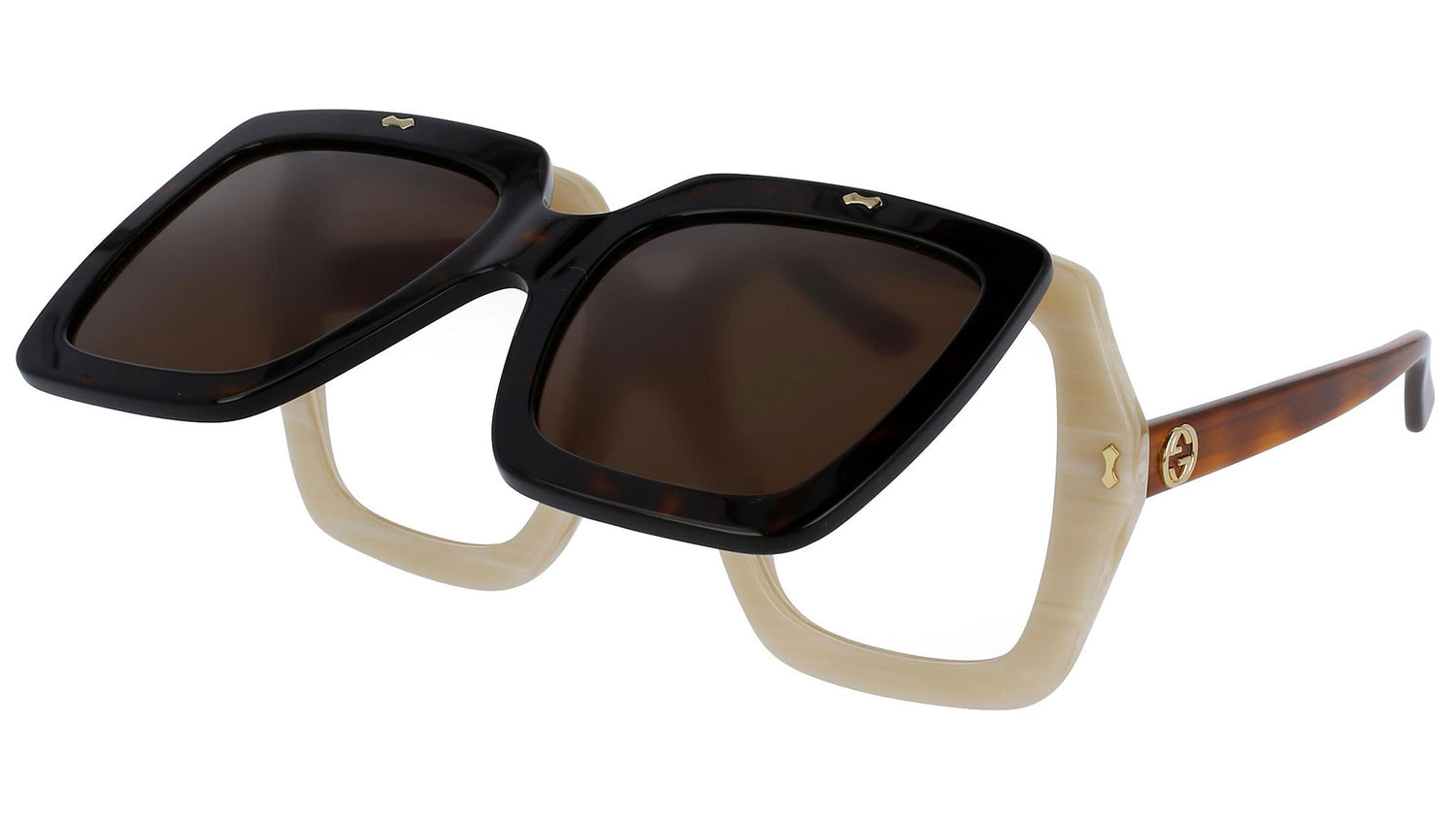 GG0088S beige tortoise and brown