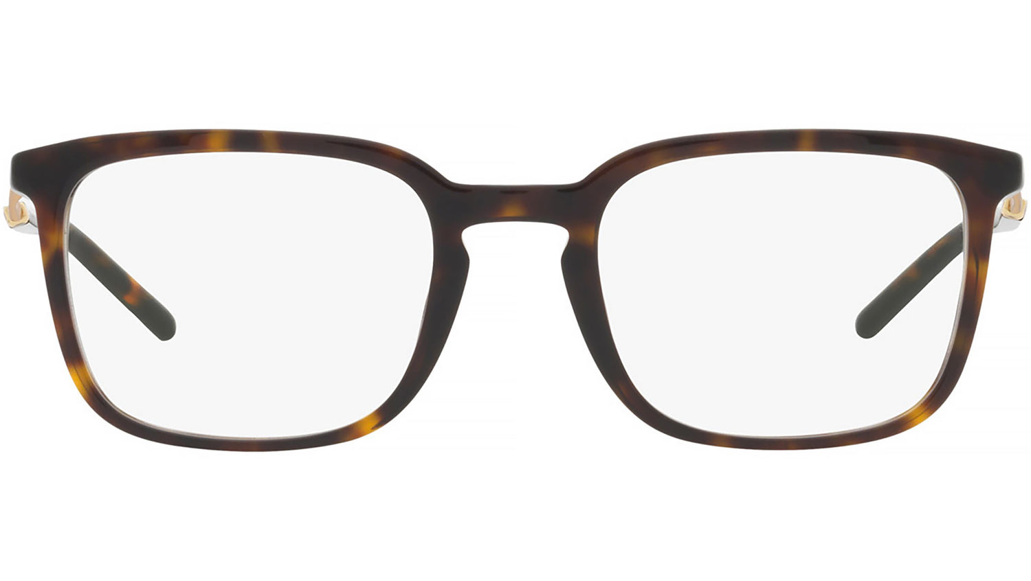 DG 3349 502 tortoise