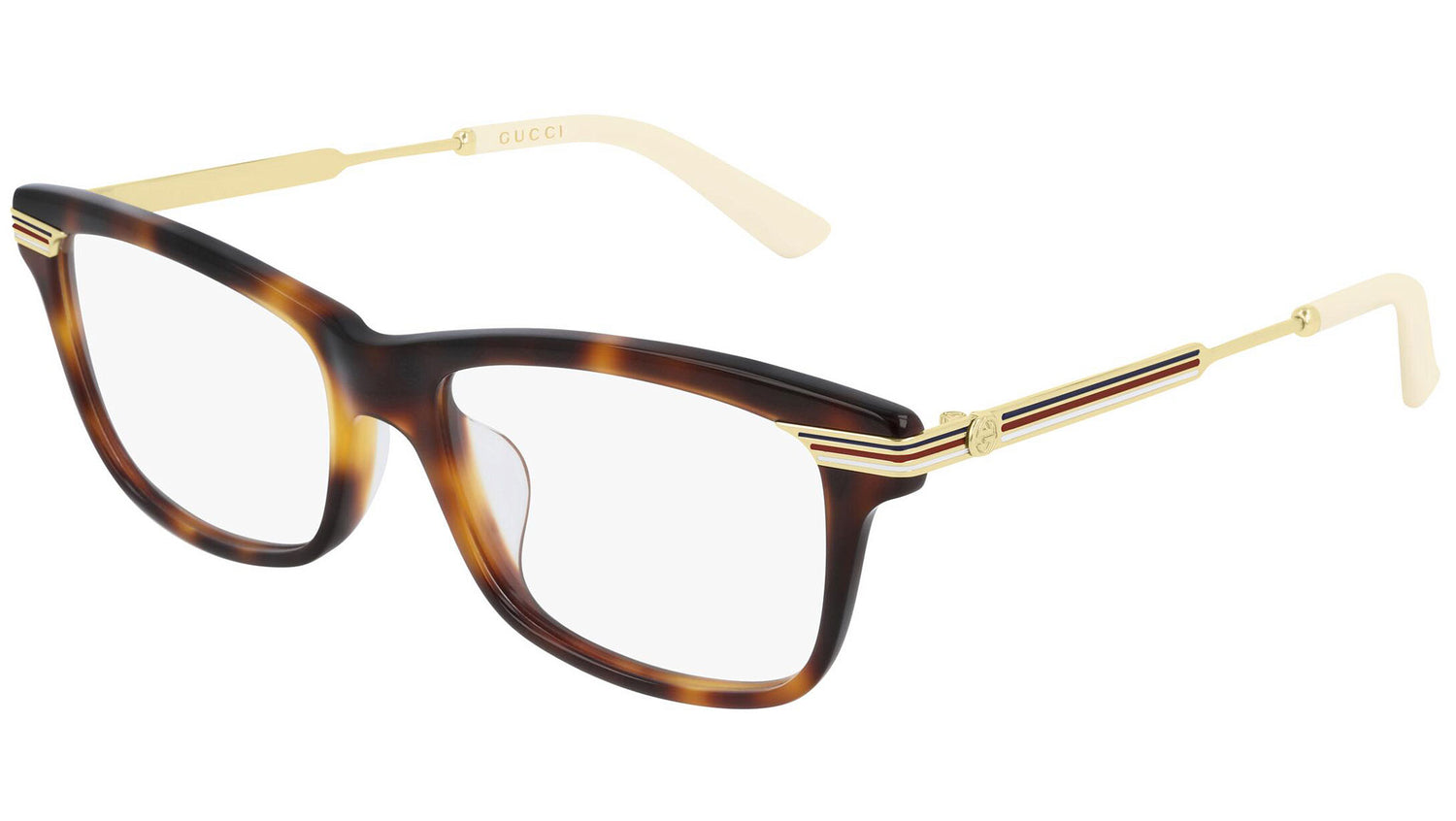 GG0524O 006 shiny tortoise