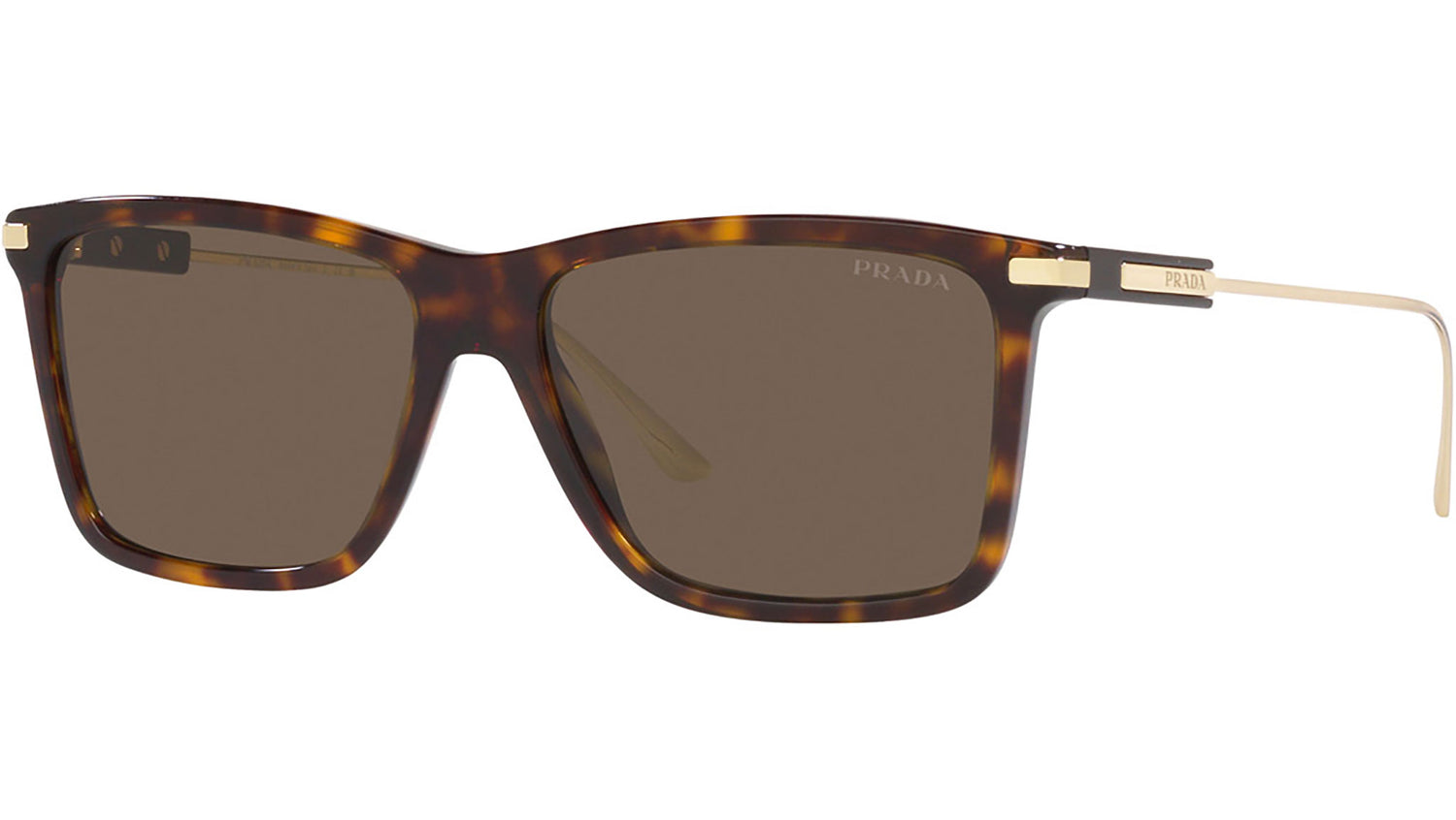 PR 01ZS tortoise