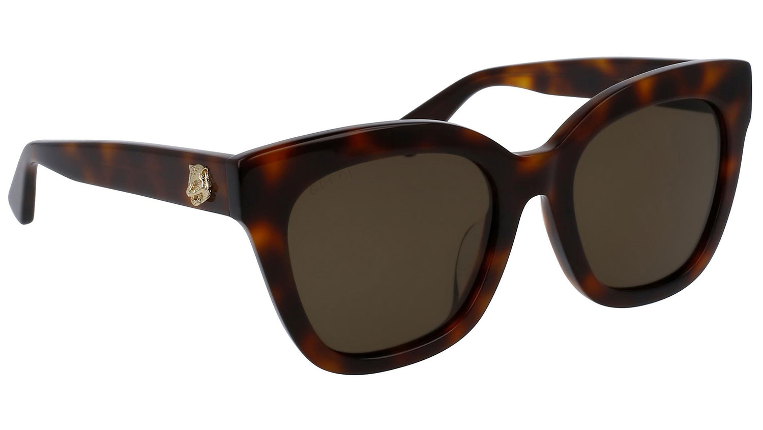 GG0029SA shiny tortoise and brown