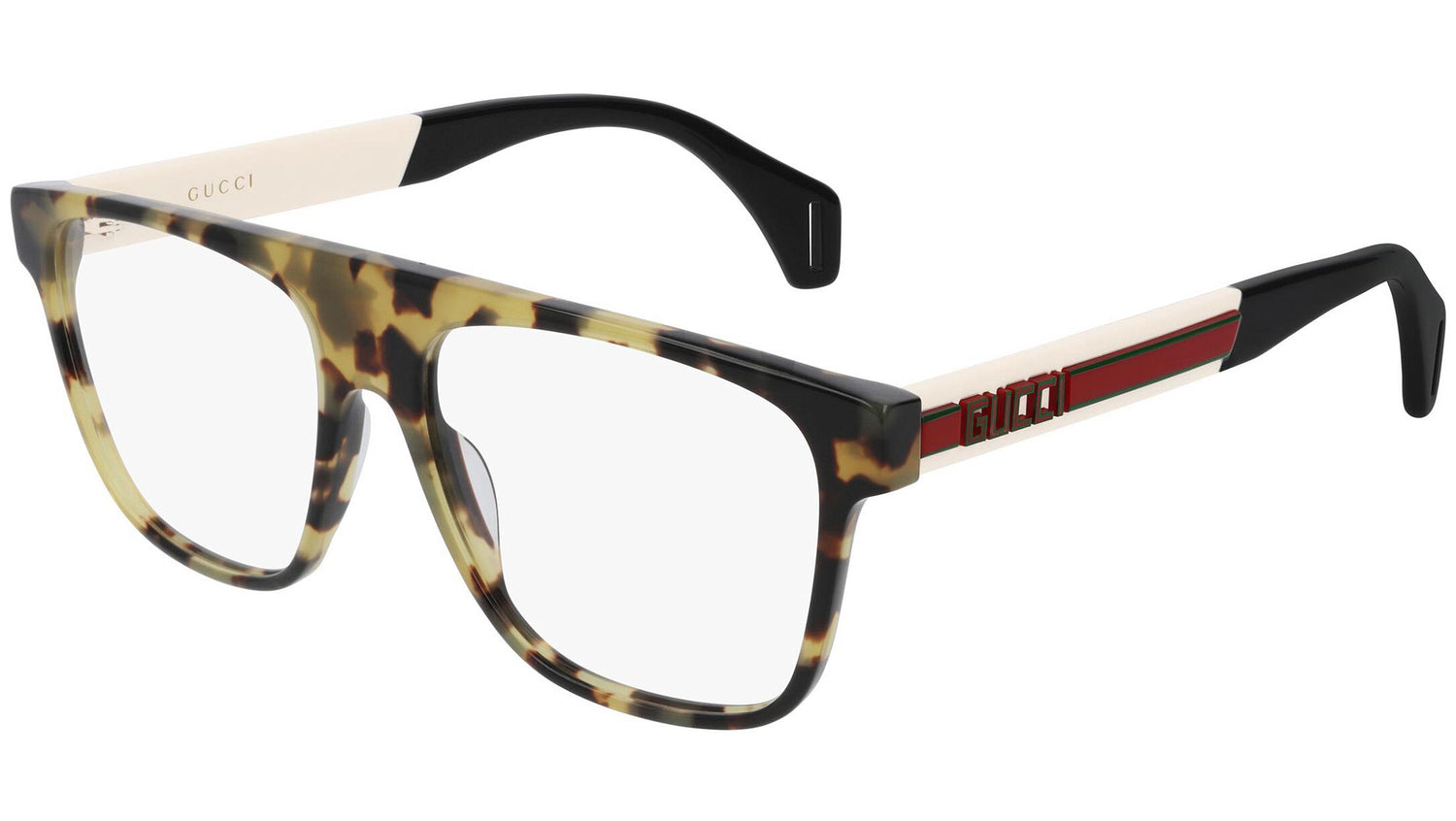 GG0465O 004 shiny tortoise