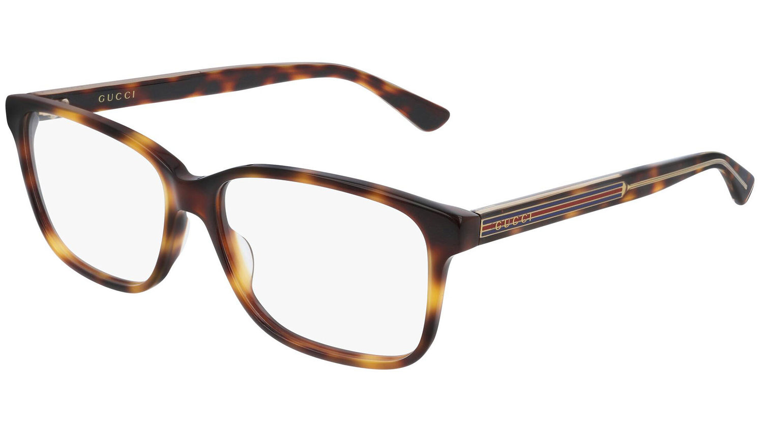 GG0530O 006 shiny tortoise