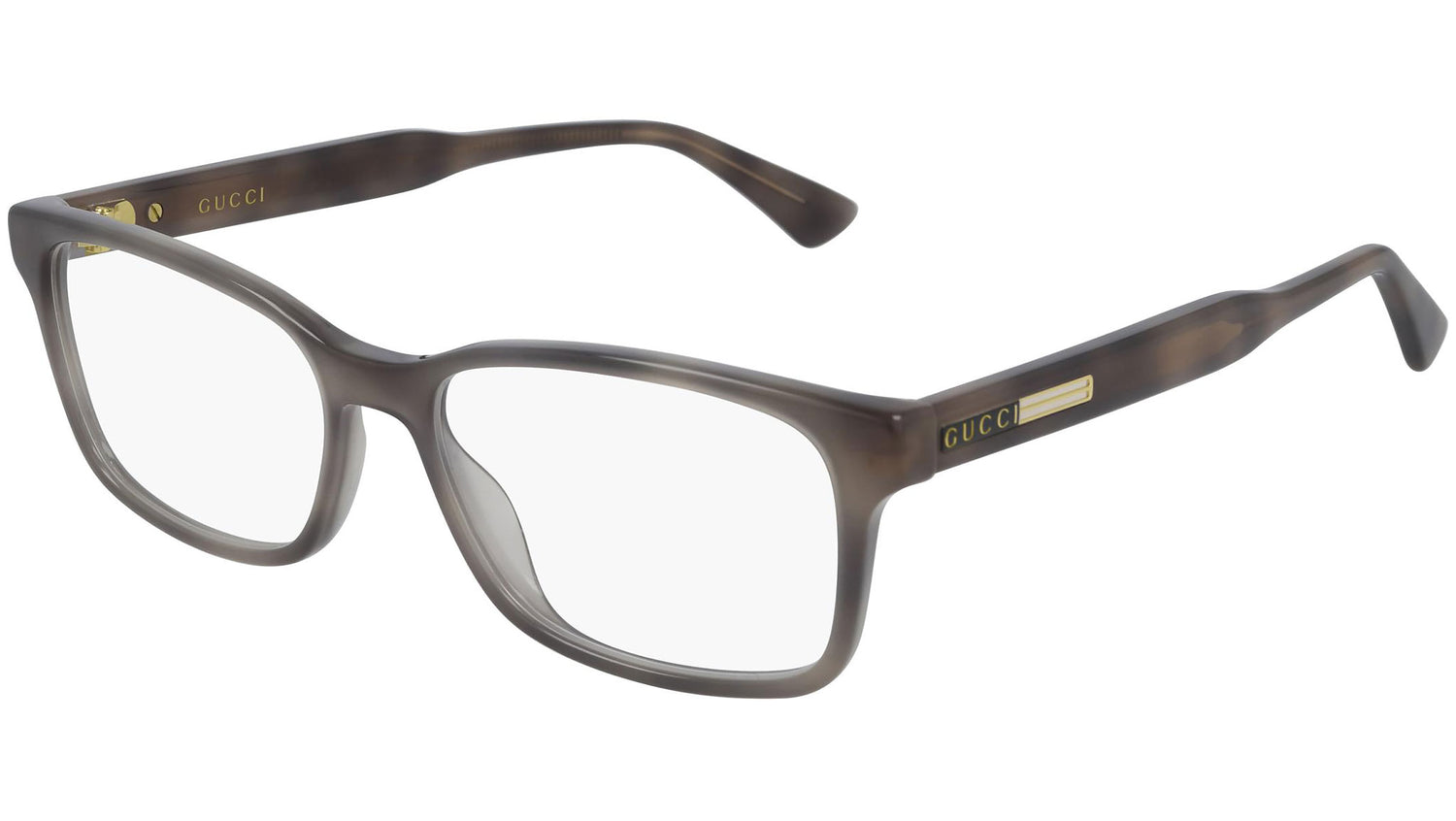 GG0826O 003 grey tortoise