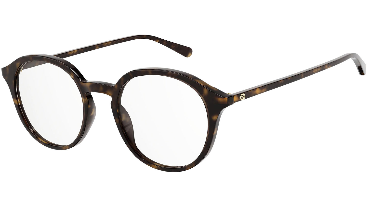 GG1004O 002 shiny tortoise