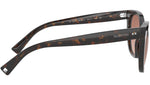 8056597125666_10.jpg
