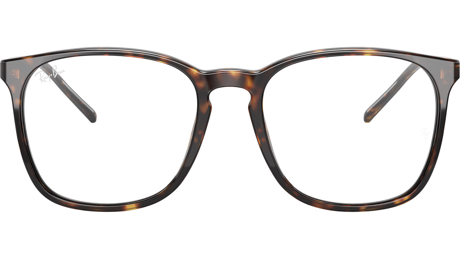 RB5387 Optics 2012