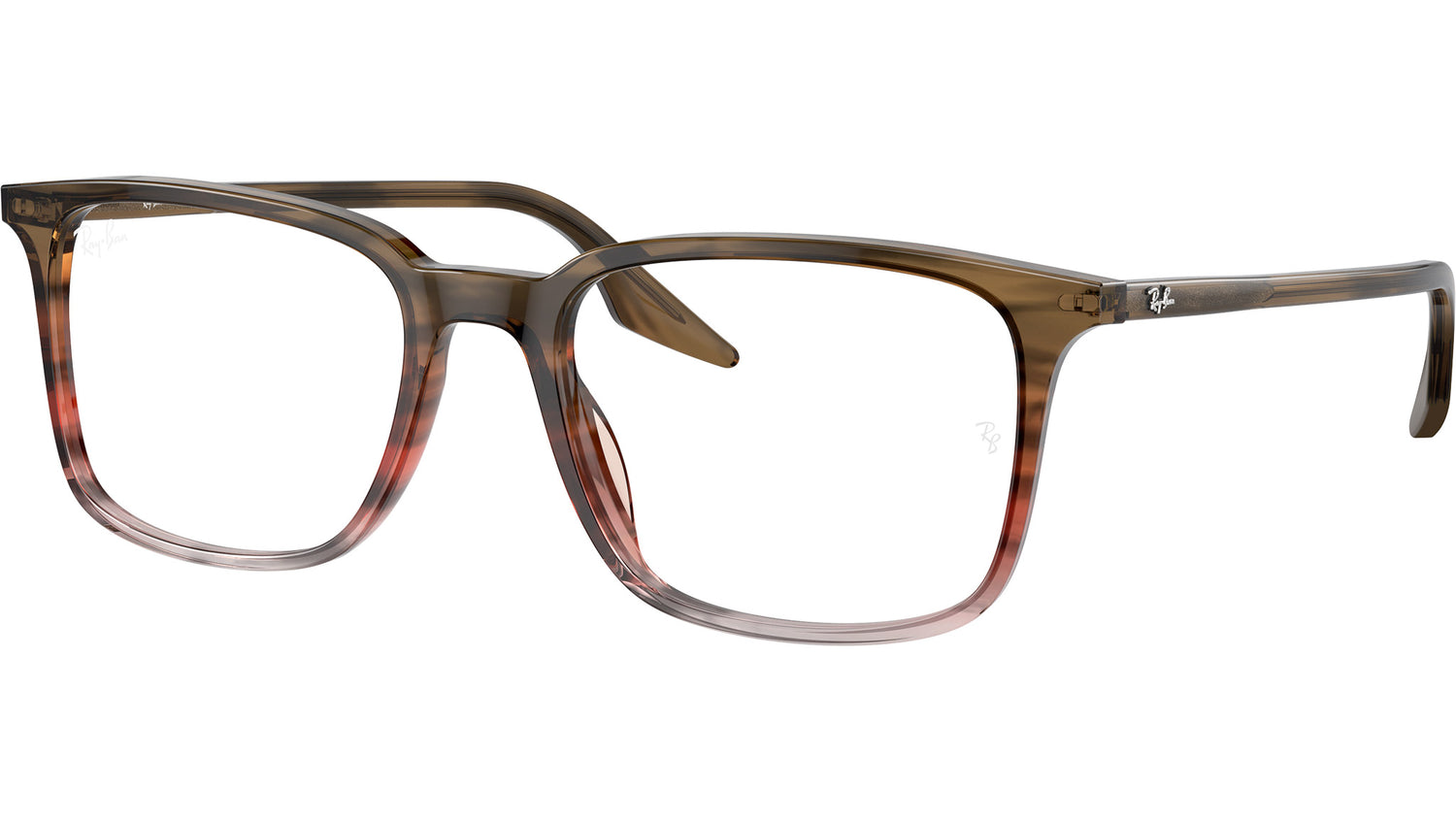 RB5421 Optics 8251