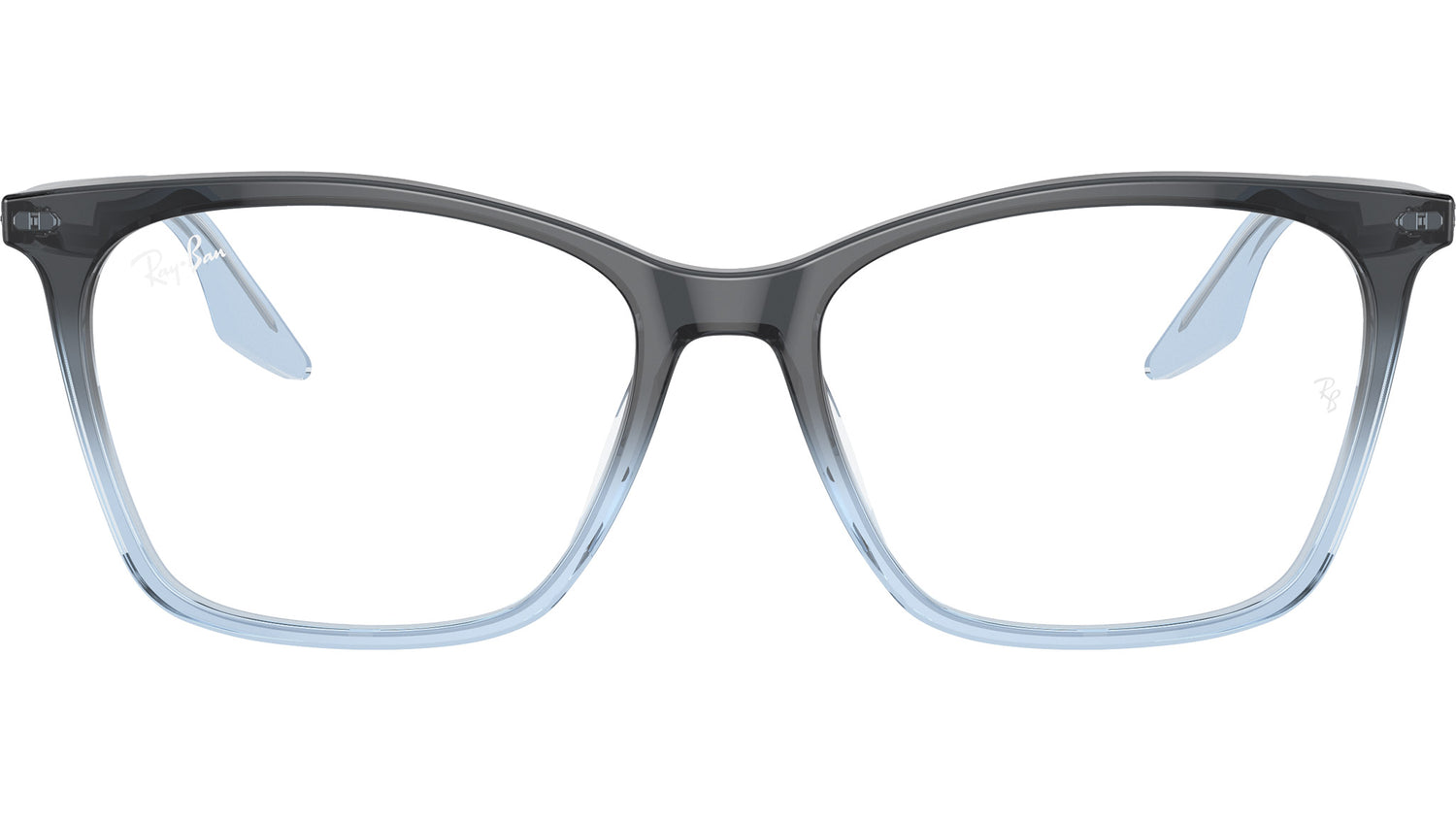 RB5422 Optics 8309