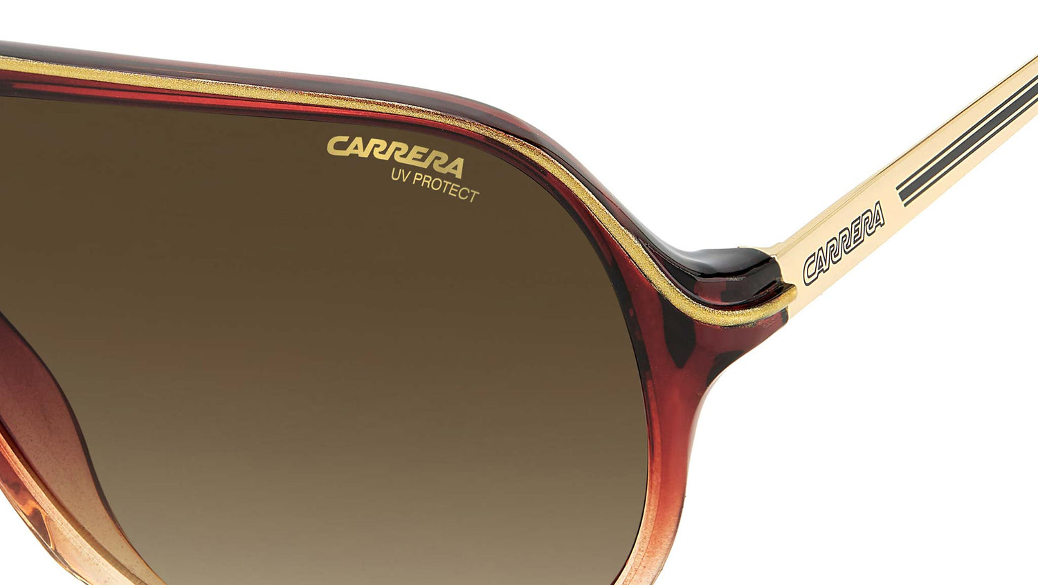 SAFARI65/N 7W5 burgundy shaded