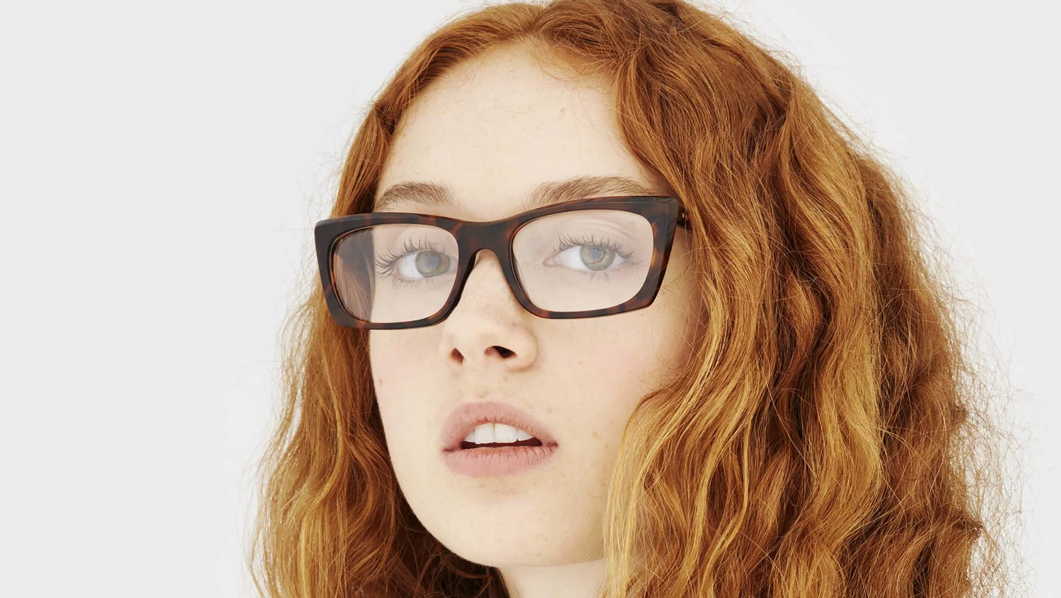 Fred Optical Classic Havana