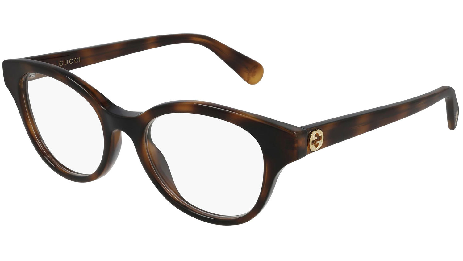 GG0924O 002 shiny tortoise