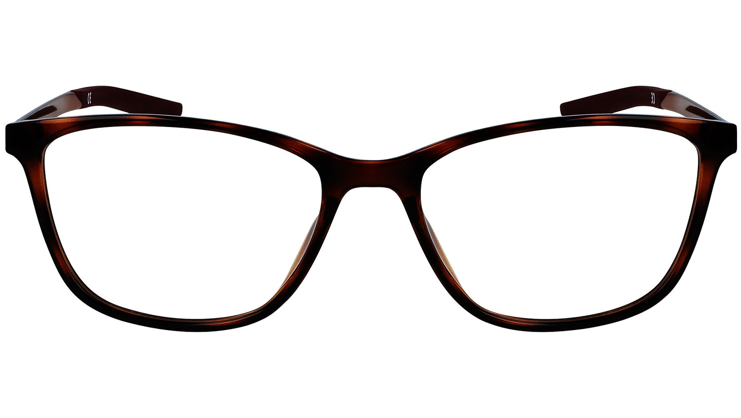 7284 244 tortoise