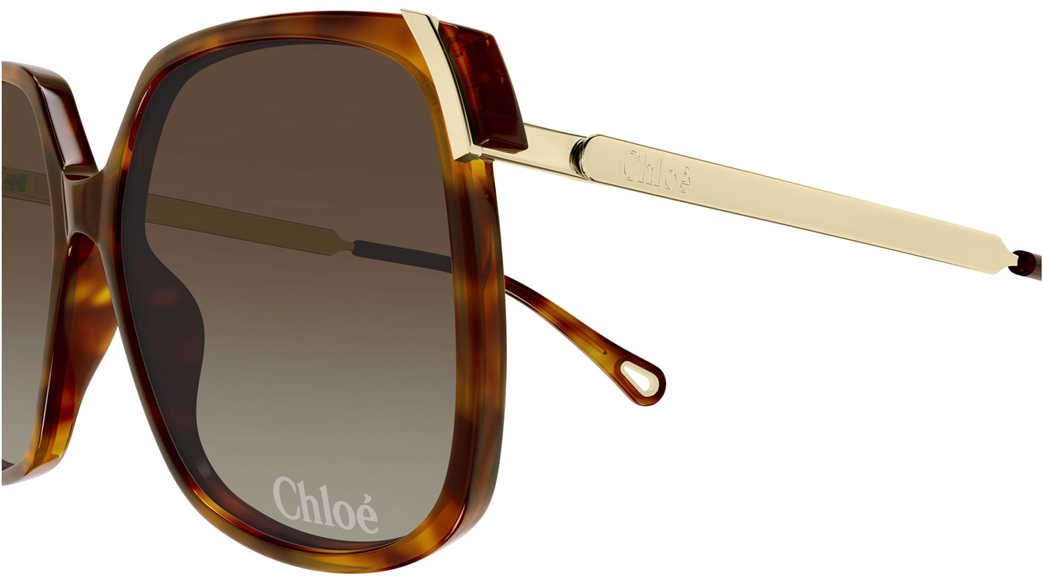 889652548449_6.jpg