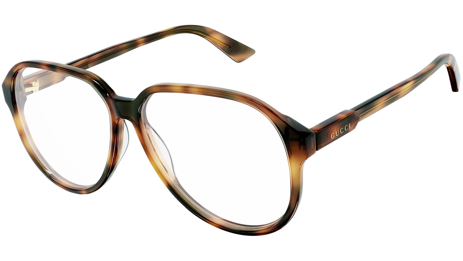 GG1036O 002 shiny tortoise