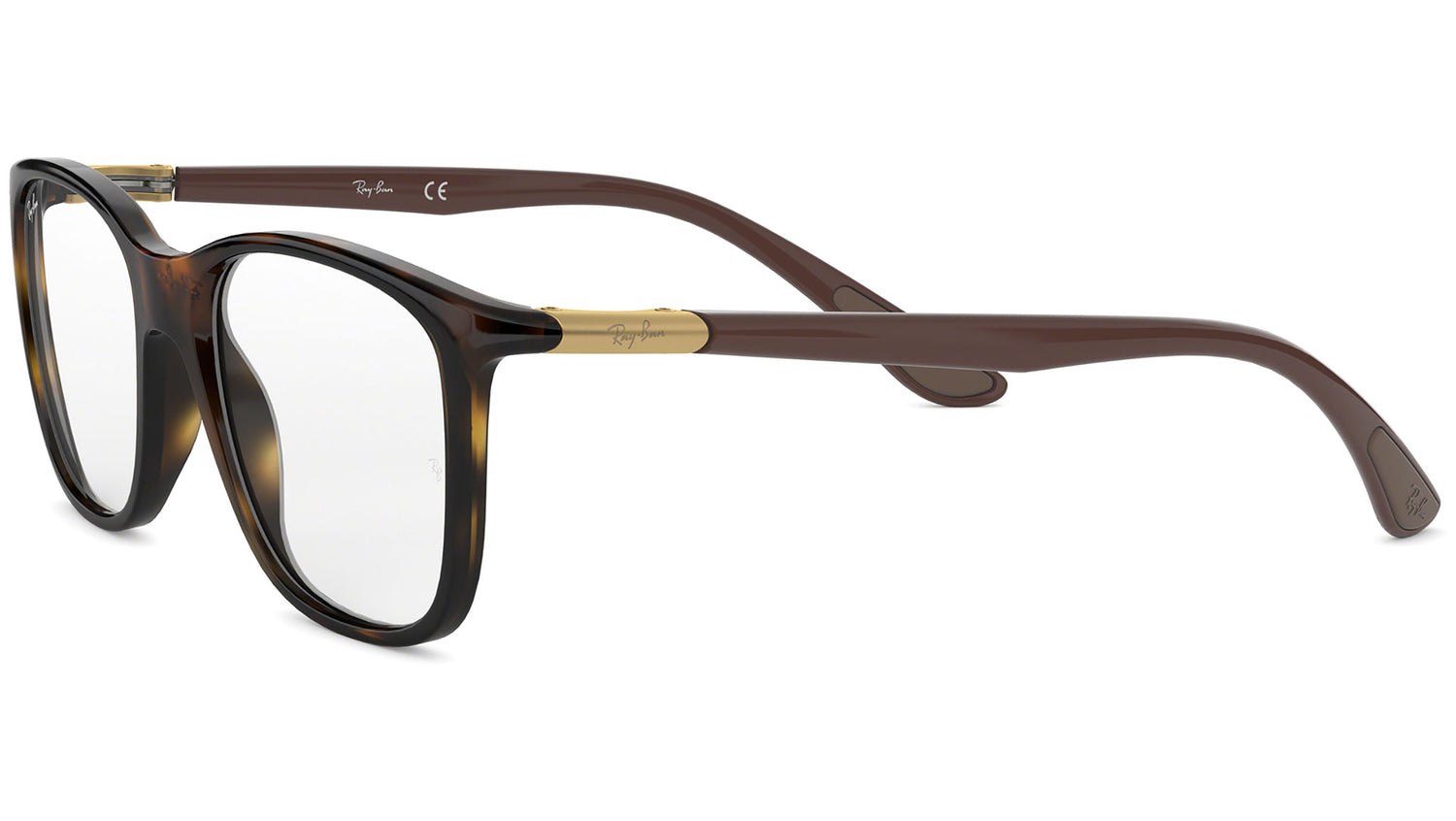 RB7143 tortoise