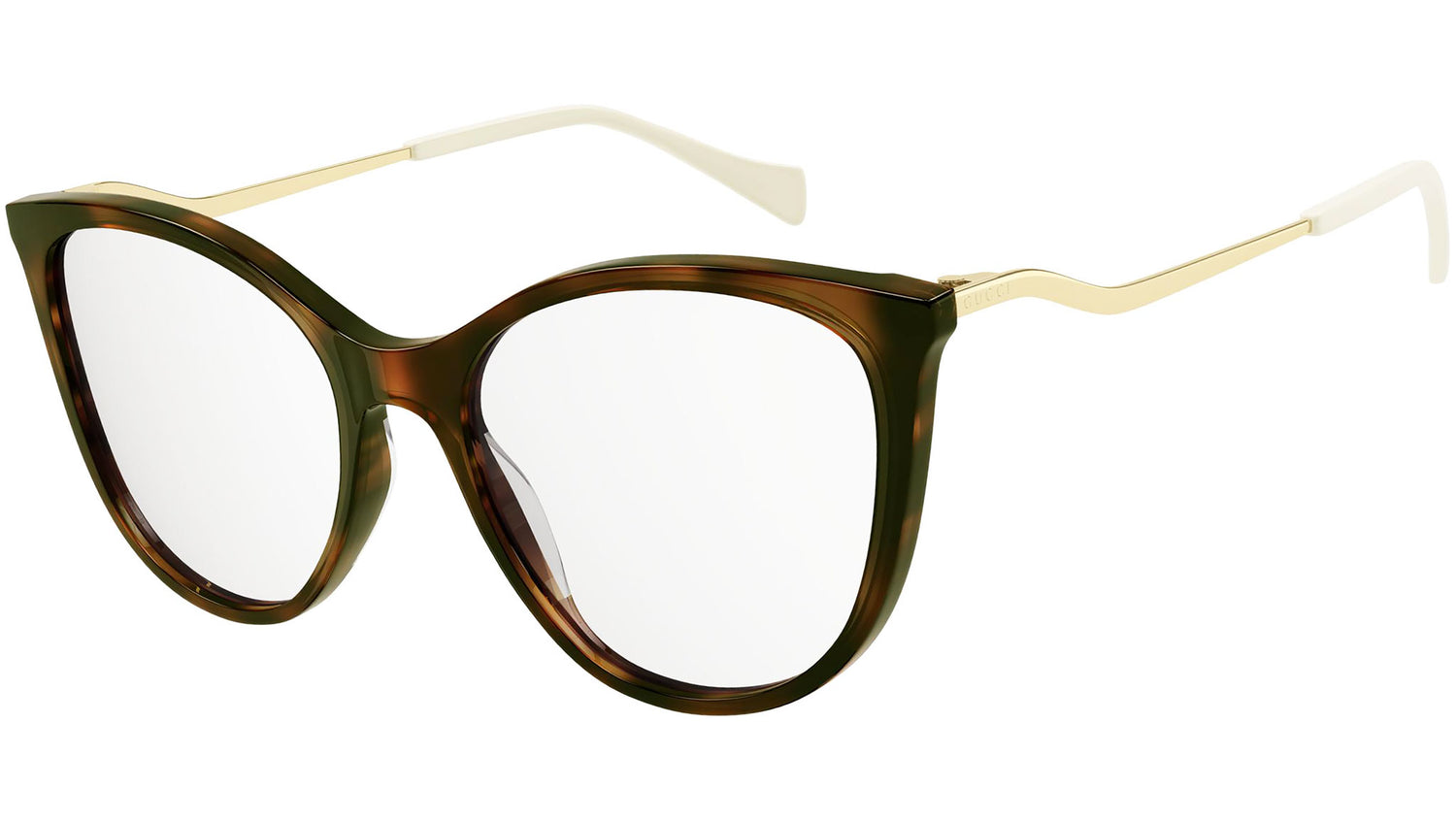 GG1007O 001 shiny tortoise