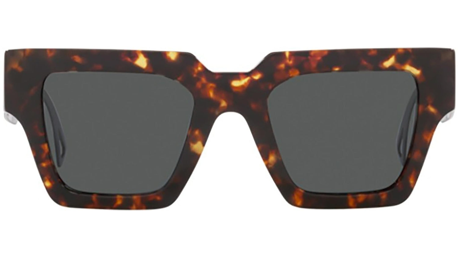 VE4431 514887 tortoise