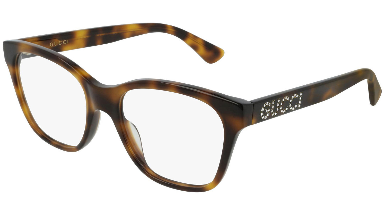 GG0420O 002 shiny tortoise