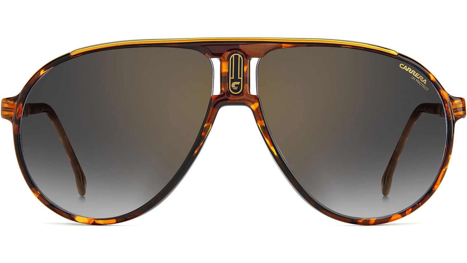 CHAMPION65/N WR9 brown havana