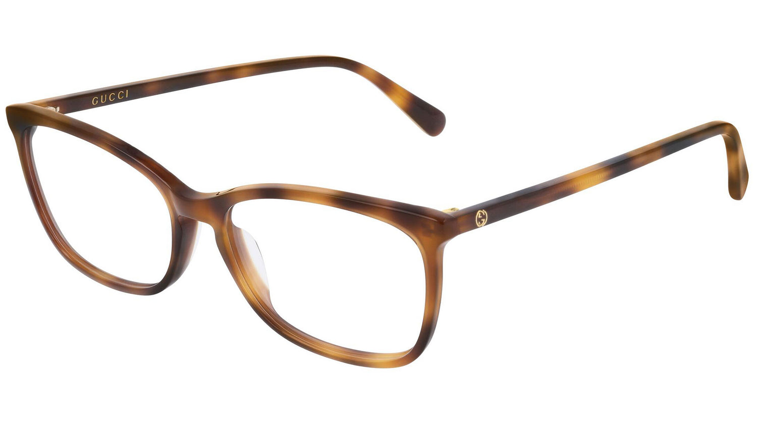 GG0548O 002 shiny tortoise