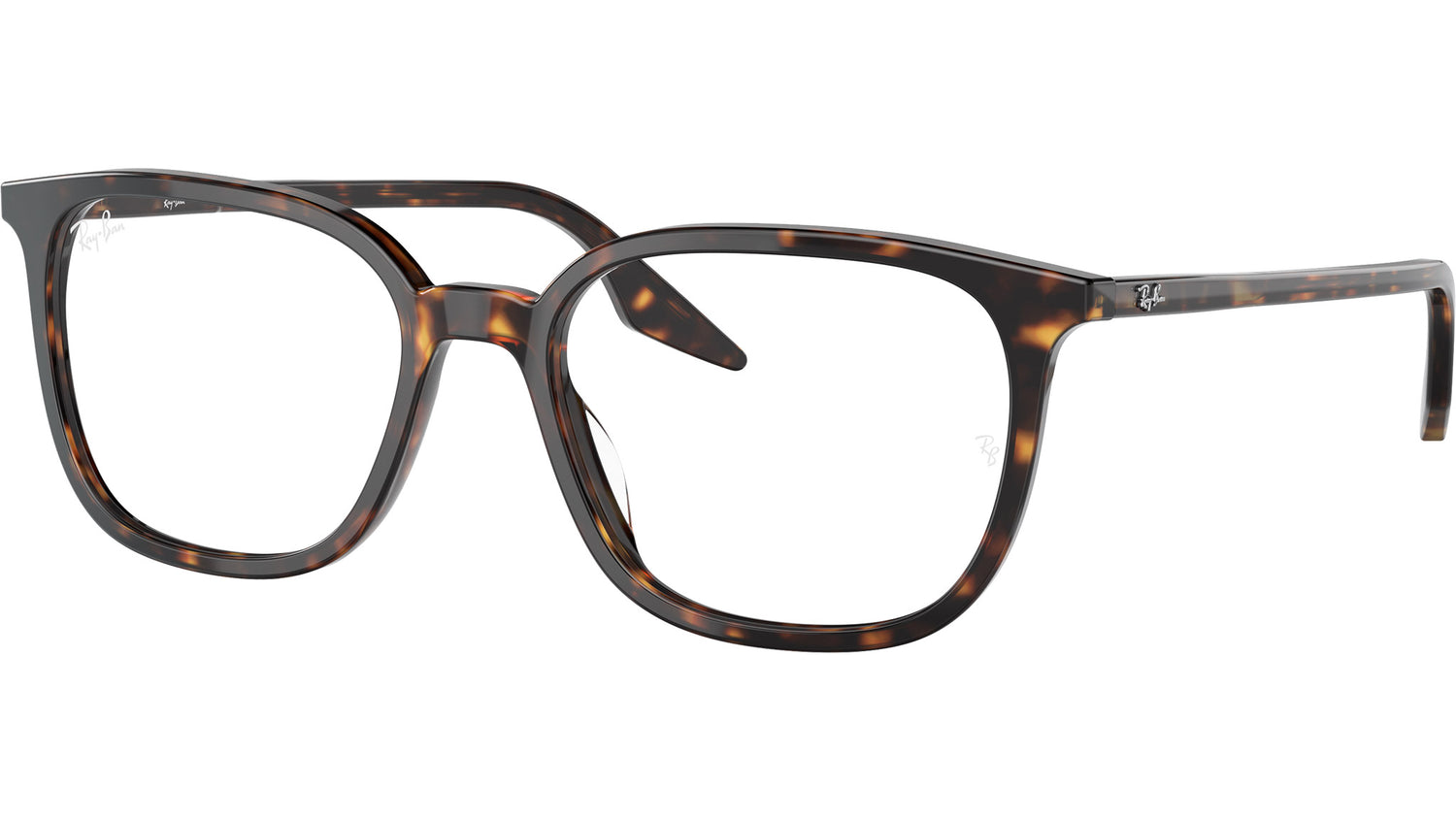 RB5406 Optics 2012