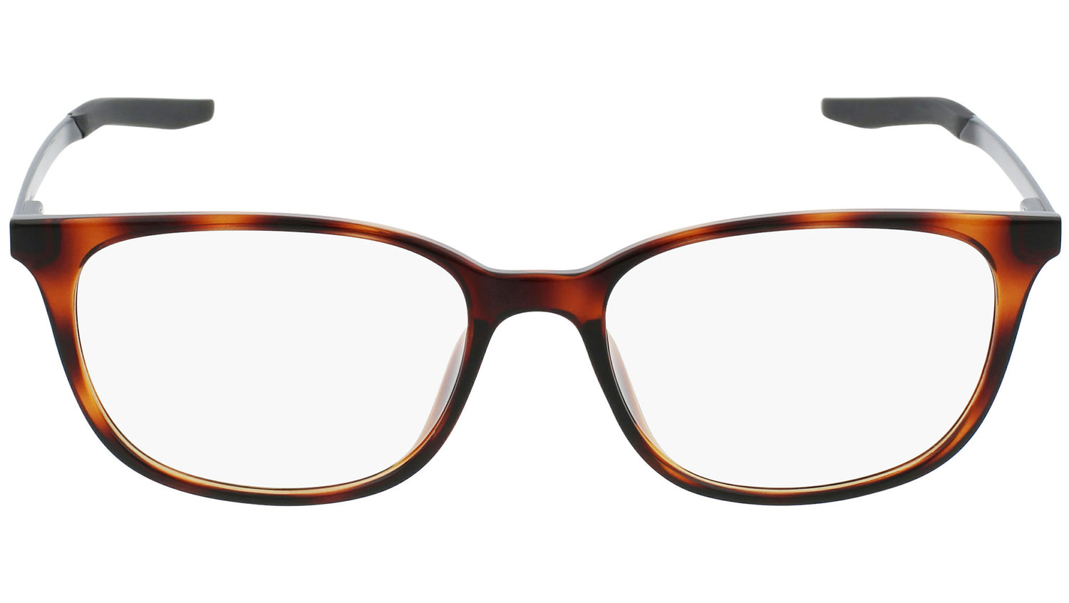 7283 240 tortoise