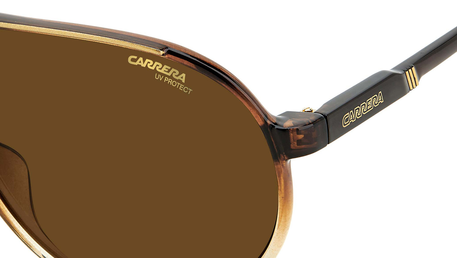 CHAMPION65/N 0MY brown shaded beige