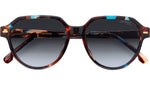 197737201111_5.jpg